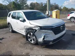 5FNYG2H48RB014910 2024 HONDA PILOT