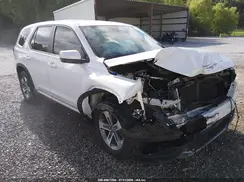 5FNYG2H48SB016016 2025 HONDA PILOT