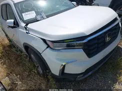 5FNYG2H48SB024228 2025 HONDA PILOT