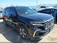 5FNYG2H49RB009148 2024 HONDA PILOT