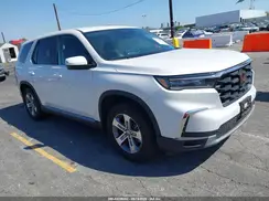 5FNYG2H49RB012602 2024 HONDA PILOT