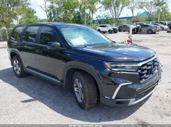 5FNYG2H49RB014141 2024 HONDA PILOT