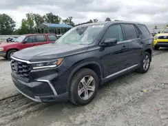 5FNYG2H49RB014186 2024 HONDA PILOT