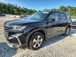 5FNYG2H4XPB000486 2023 HONDA PILOT