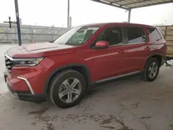 5FNYG2H4XRB010499 2024 HONDA PILOT