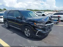 5FNYG2H4XRB014150 2024 HONDA PILOT