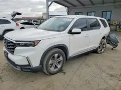 5FNYG2H4XSB005891 2025 HONDA PILOT