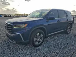 5FNYG2H50RB000377 2024 HONDA PILOT