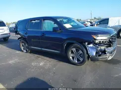 5FNYG2H51RB004485 2024 HONDA PILOT