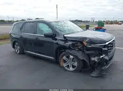 5FNYG2H51RB011243 2024 HONDA PILOT