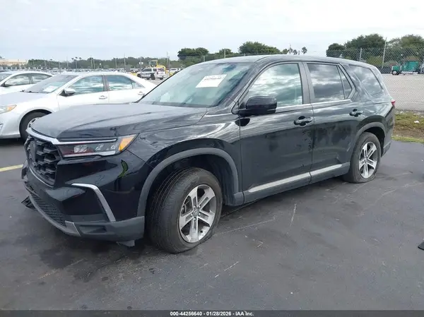 5FNYG2H51RB011243 2024 HONDA PILOT - Image 2