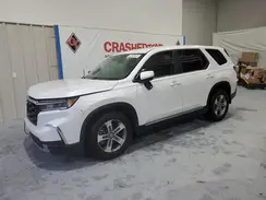 5FNYG2H51RB012747 2024 HONDA PILOT
