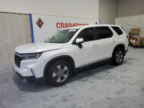 5FNYG2H51RB012747 2024 HONDA PILOT - Image 1