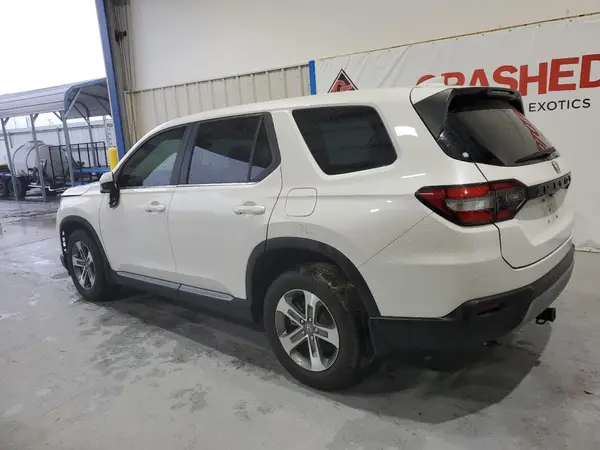 5FNYG2H51RB012747 2024 HONDA PILOT - Image 2