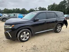 5FNYG2H52RB002339 2024 HONDA PILOT