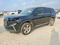 5FNYG2H52RB003121 2024 HONDA PILOT