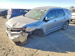 5FNYG2H52RB007931 2024 HONDA PILOT
