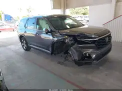 5FNYG2H52RB010781 2024 HONDA PILOT