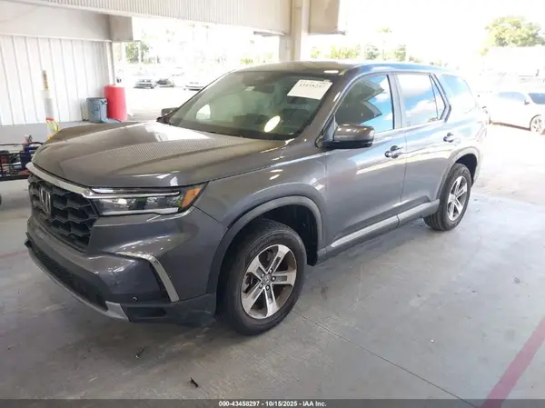 5FNYG2H52RB010781 2024 HONDA PILOT - Image 2
