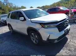 5FNYG2H53PB008907 2023 HONDA PILOT