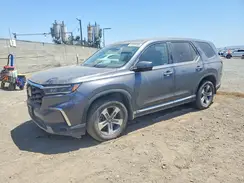 5FNYG2H53RB001832 2024 HONDA PILOT