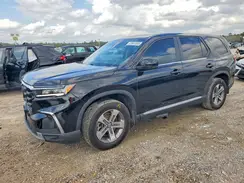 5FNYG2H53RB003208 2024 HONDA PILOT