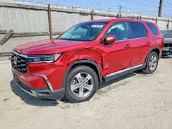 5FNYG2H53RB005315 2024 HONDA PILOT