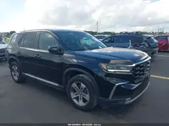 5FNYG2H53RB011244 2024 HONDA PILOT