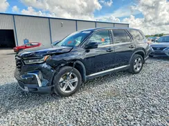5FNYG2H54RB008126 2024 HONDA PILOT
