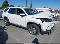 5FNYG2H54RB011818 2024 HONDA PILOT