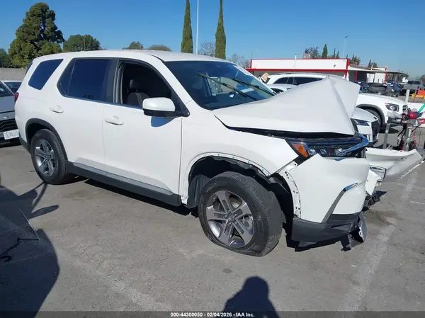 5FNYG2H54RB011818 2024 HONDA PILOT - Image 1