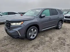 5FNYG2H55RB000469 2024 HONDA PILOT