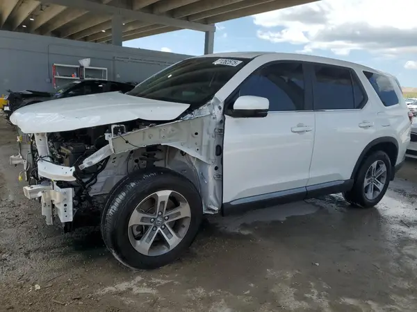 5FNYG2H55RB001346 2024 HONDA PILOT - Image 1