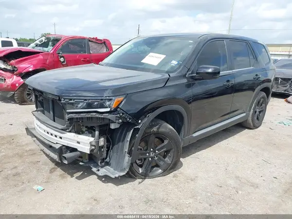 5FNYG2H55RB003453 2024 HONDA PILOT - Image 2