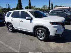 5FNYG2H55RB005008 2024 HONDA PILOT