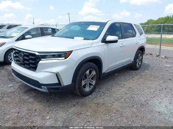 5FNYG2H55RB008152 2024 HONDA PILOT - Image 2
