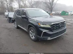 5FNYG2H56RB003204 2024 HONDA PILOT