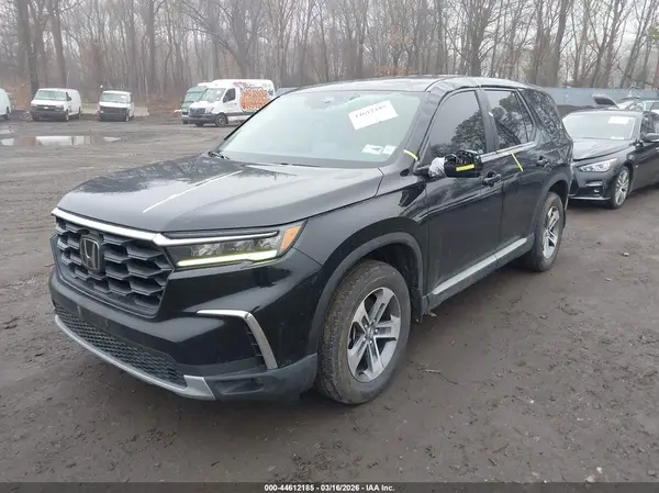 5FNYG2H56RB003204 2024 HONDA PILOT - Image 2