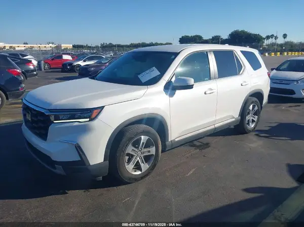 5FNYG2H56RB003283 2024 HONDA PILOT - Image 2