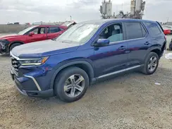 5FNYG2H56RB004465 2024 HONDA PILOT