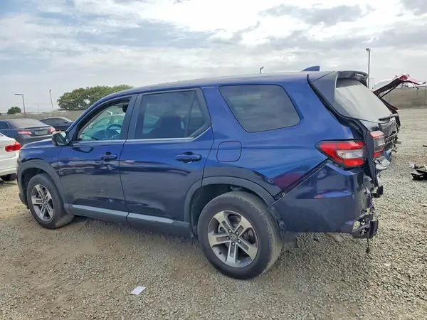 5FNYG2H56RB004465 2024 HONDA PILOT - Image 2
