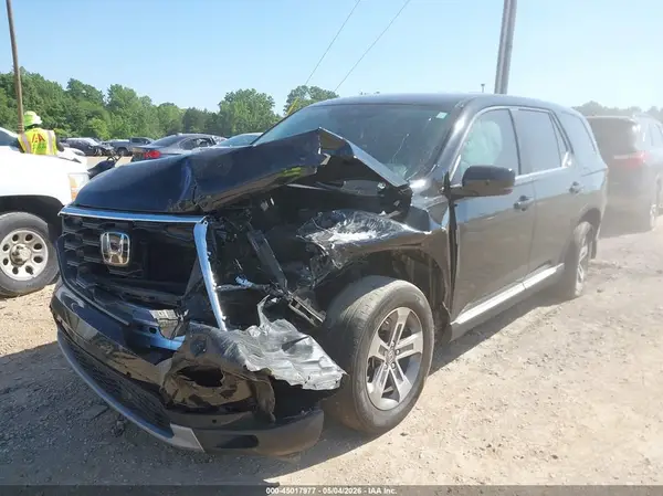 5FNYG2H56RB015773 2024 HONDA PILOT - Image 2