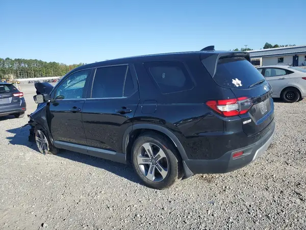 5FNYG2H57RB003390 2024 HONDA PILOT - Image 2