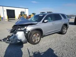 5FNYG2H57RB006127 2024 HONDA PILOT