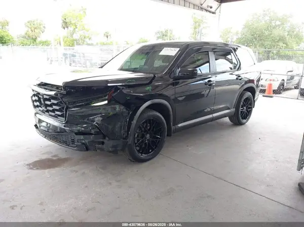 5FNYG2H57RB008069 2024 HONDA PILOT - Image 2