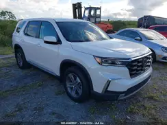 5FNYG2H57RB012798 2024 HONDA PILOT