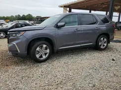 5FNYG2H57RB016317 2024 HONDA PILOT