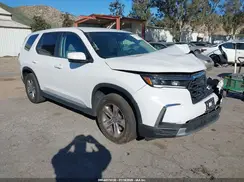 5FNYG2H57RB016785 2024 HONDA PILOT