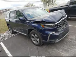 5FNYG2H58RB006430 2024 HONDA PILOT