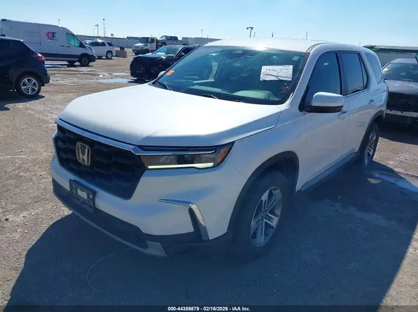 5FNYG2H58RB008517 2024 HONDA PILOT - Image 2